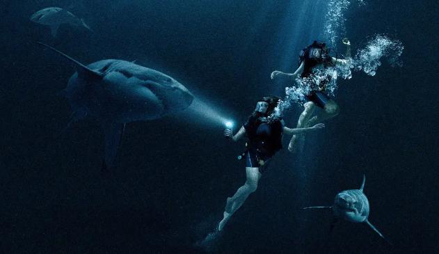 《鲨海逃生》电影解说文案